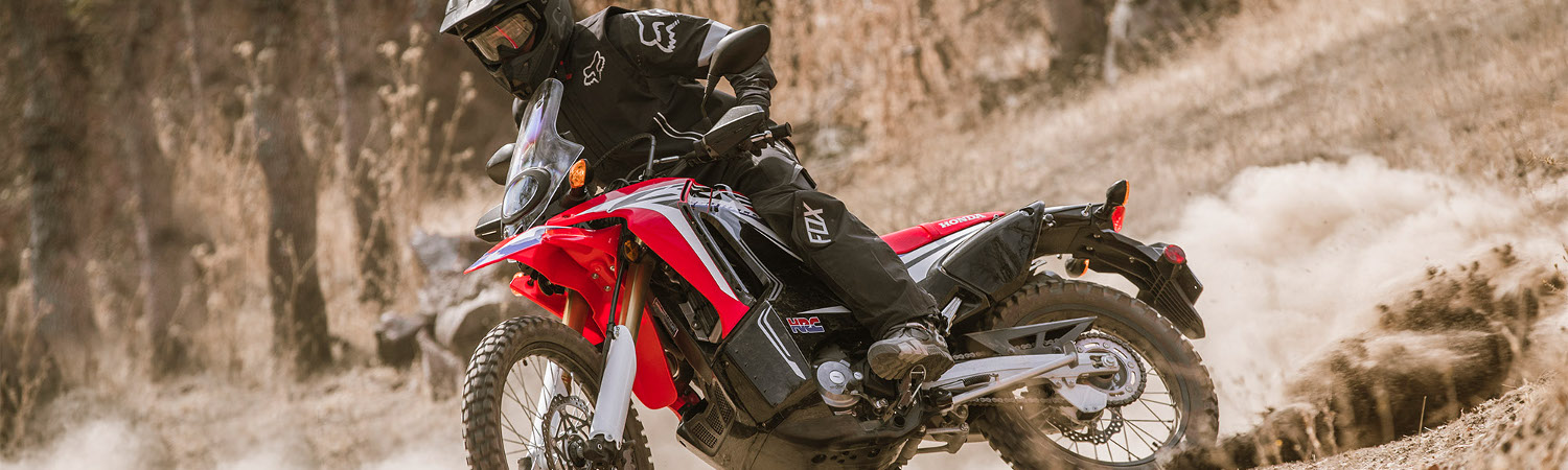 2019 Honda® C2 AE XR650L for sale in Stockton Powersports, Stockton, California